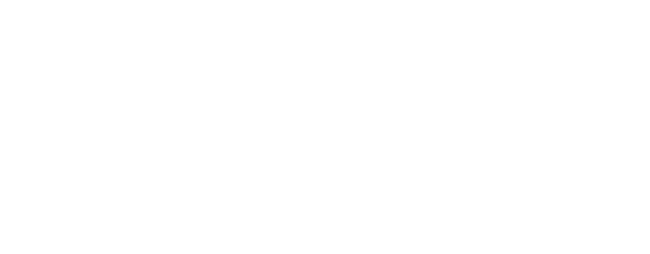 Metavox Logo
